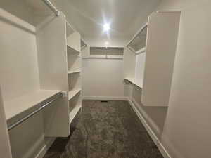 Walk in closet with dark colored carpet
