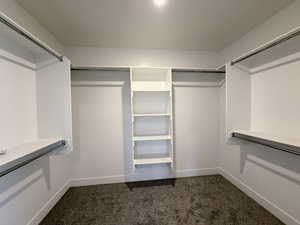 Walk in closet with dark colored carpet
