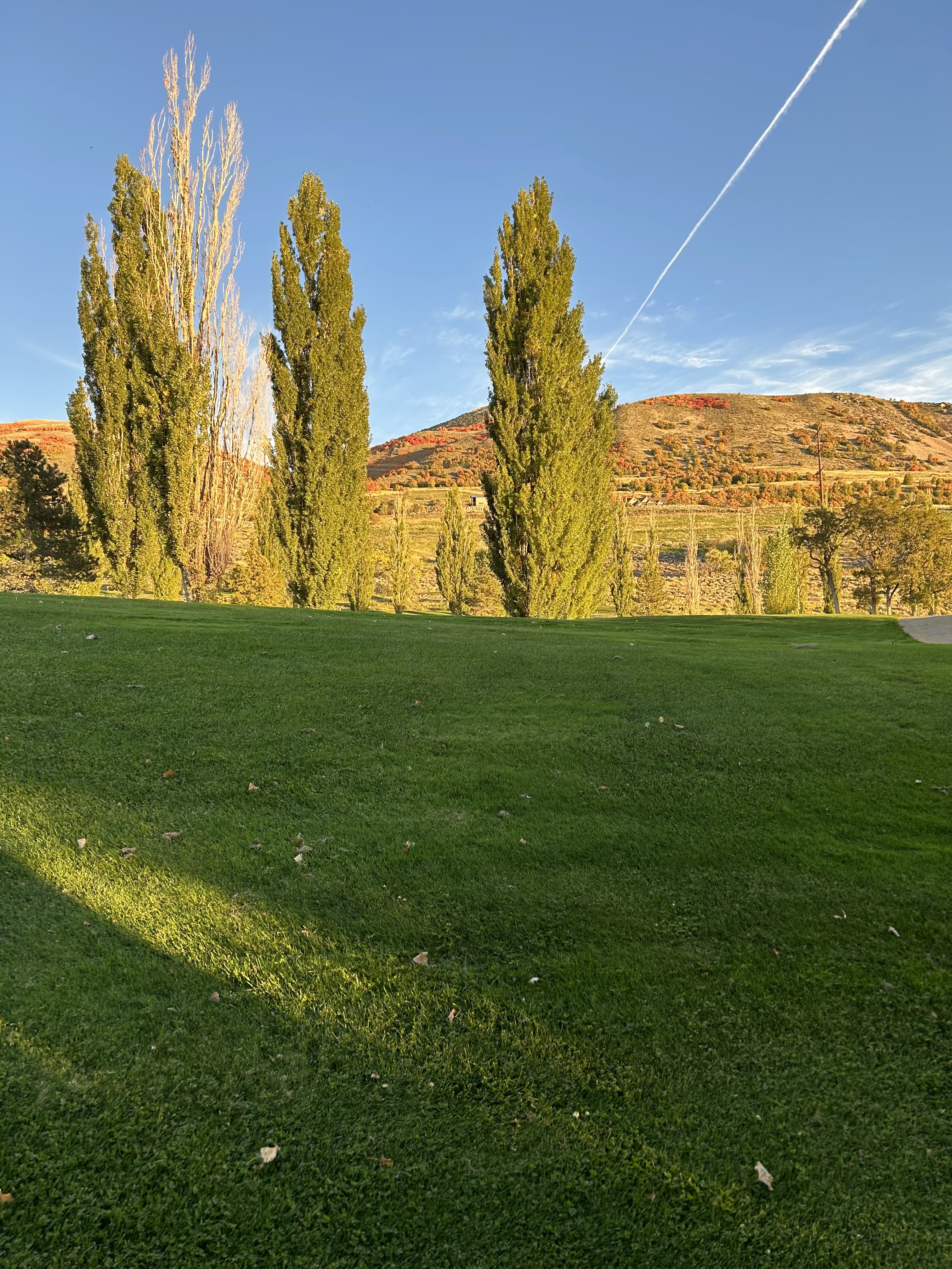 View of green lawn with a mountain view