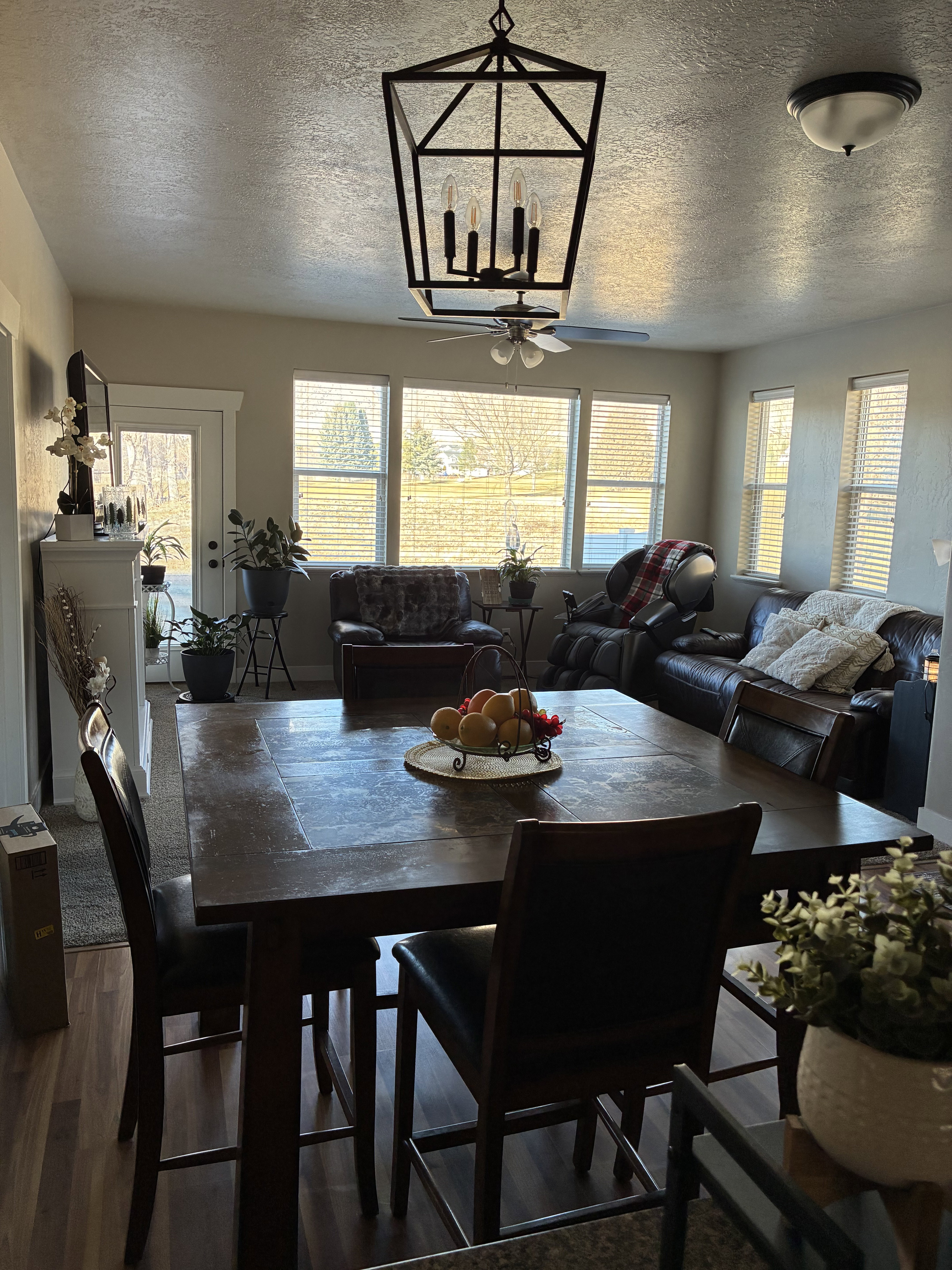 Dining room featuring wood finished floors, a textured ceiling, and a ceiling fan