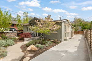 Newer Concrete Walk & Driveway