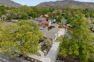Tree Shades home from Hot West Sun