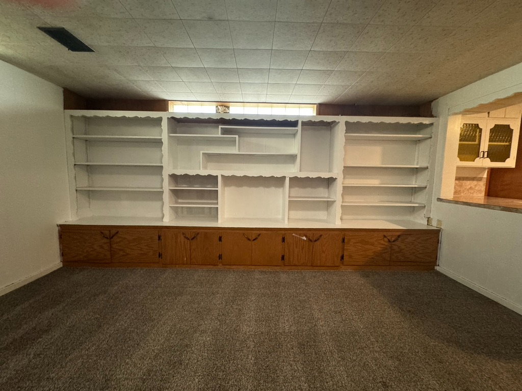 Basement built-ins