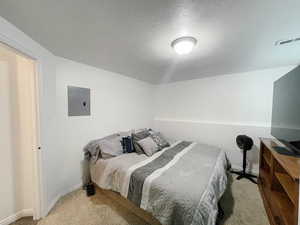 Bedroom featuring light colored carpet, a textured ceiling, and electric panel