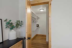 Walk in closet featuring wood finished floors