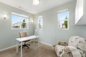 Office featuring plenty of natural light, carpet floors, and a ceiling fan