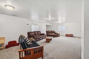 Basement family room with walkout door