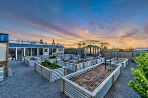 View of community with a patio, a vegetable garden, and an outdoor structure