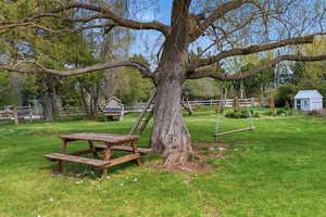 Large shade tree with picnic area, bench seating, and swing on usable yard space