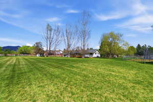 View of yard featuring a trampoline, a view of rural / pastoral area, and a mountain view