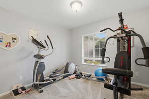 Exercise room featuring carpet flooring and baseboards