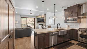 Kitchen with a fireplace, a peninsula, stainless steel appliances, dark wood finish cabinets, and light wood-type flooring