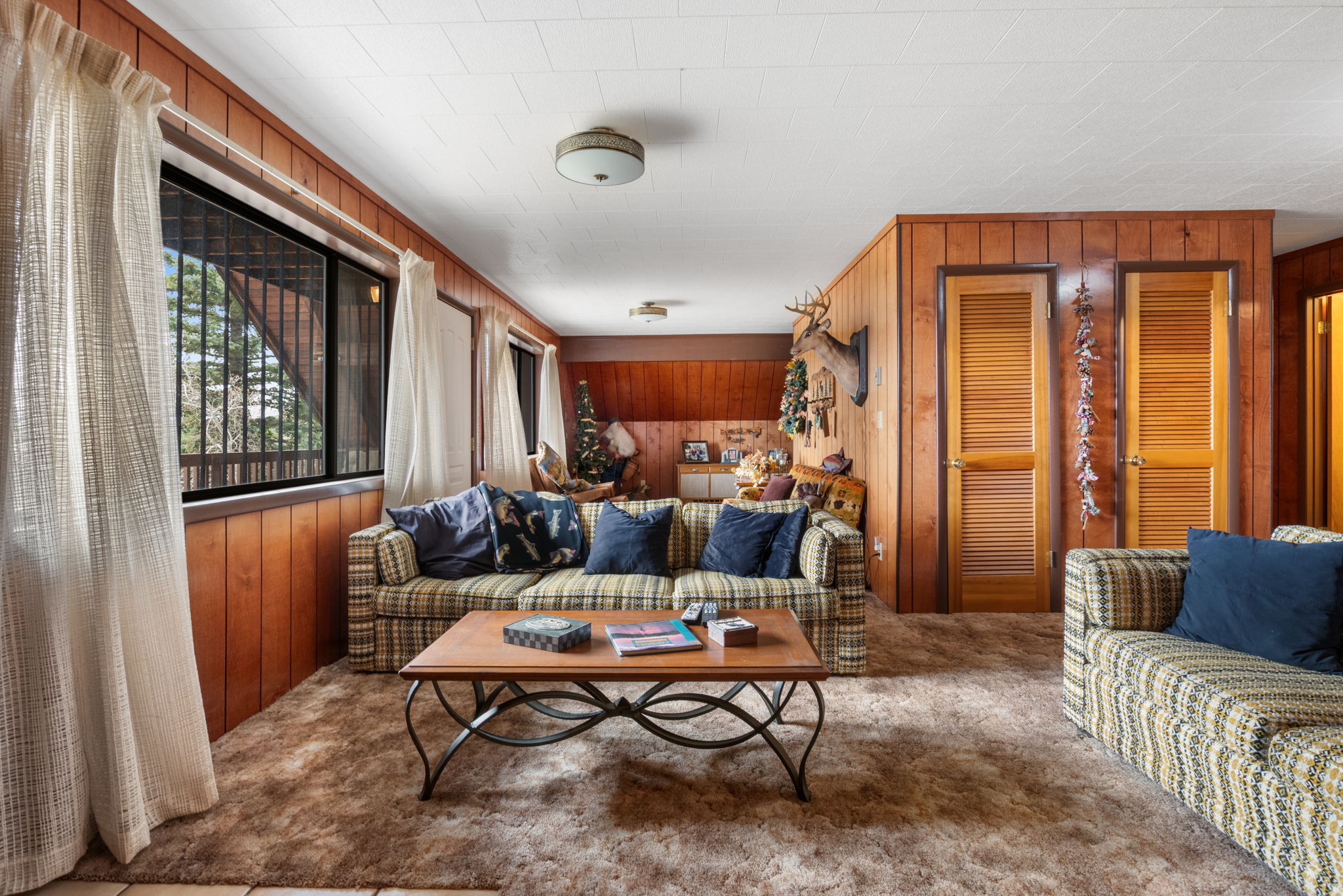 Living room featuring wood walls and carpet flooring