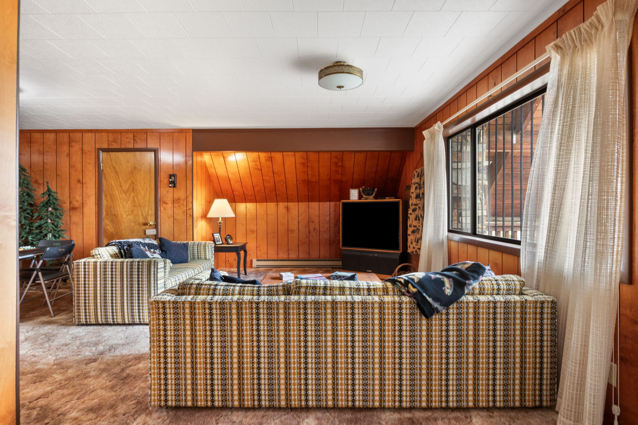 Living room featuring wooden walls, carpet, and a baseboard radiator