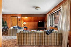 Living room featuring wooden walls, carpet, and a baseboard radiator