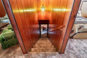 Staircase with carpet floors and wooden walls
