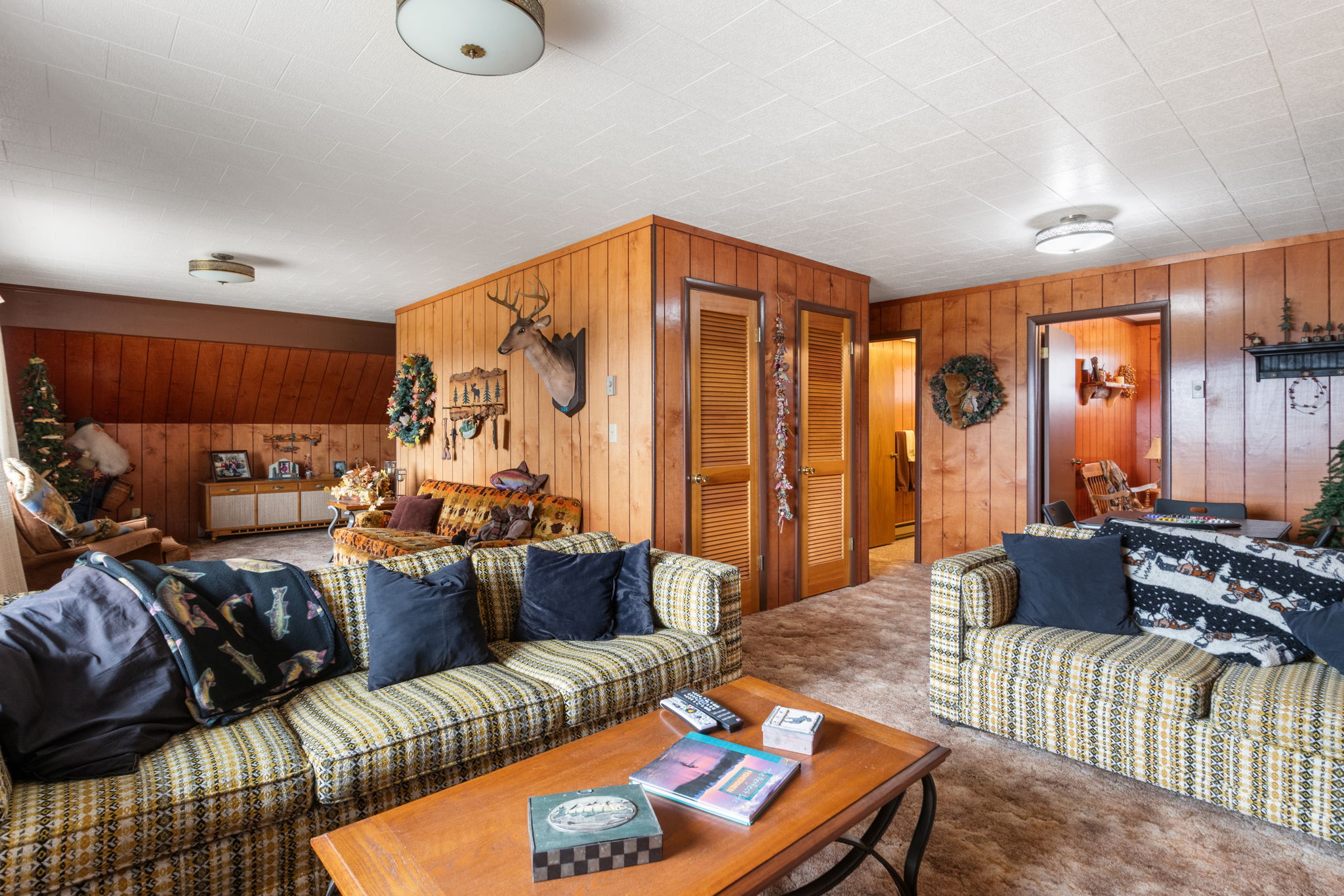 Carpeted living room featuring wood walls