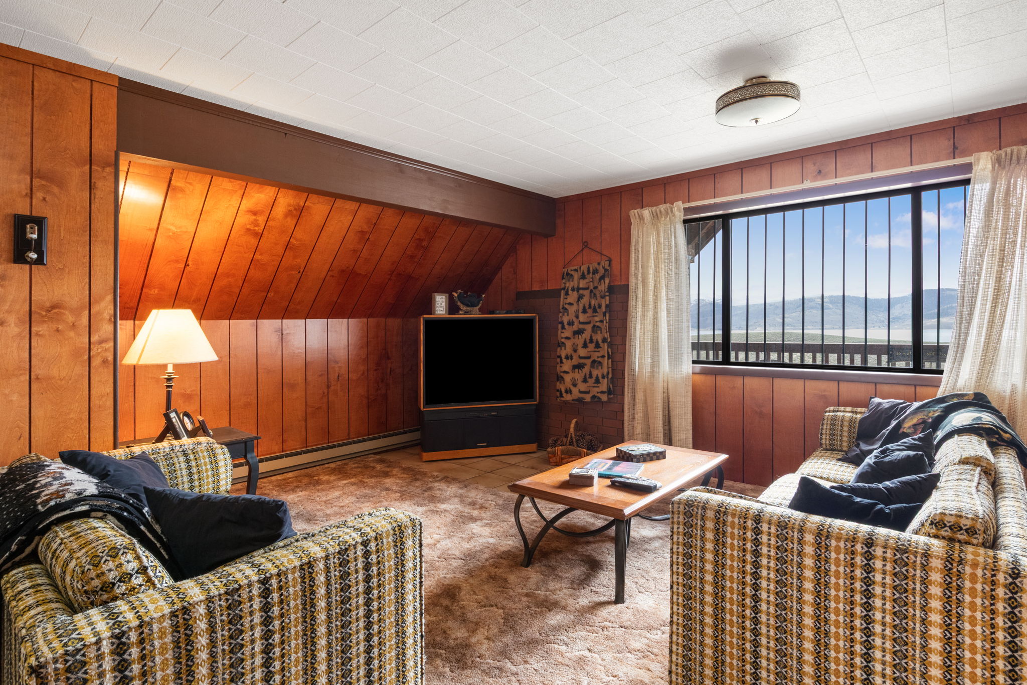 Living room with wooden walls, a baseboard radiator, carpet, and vaulted ceiling