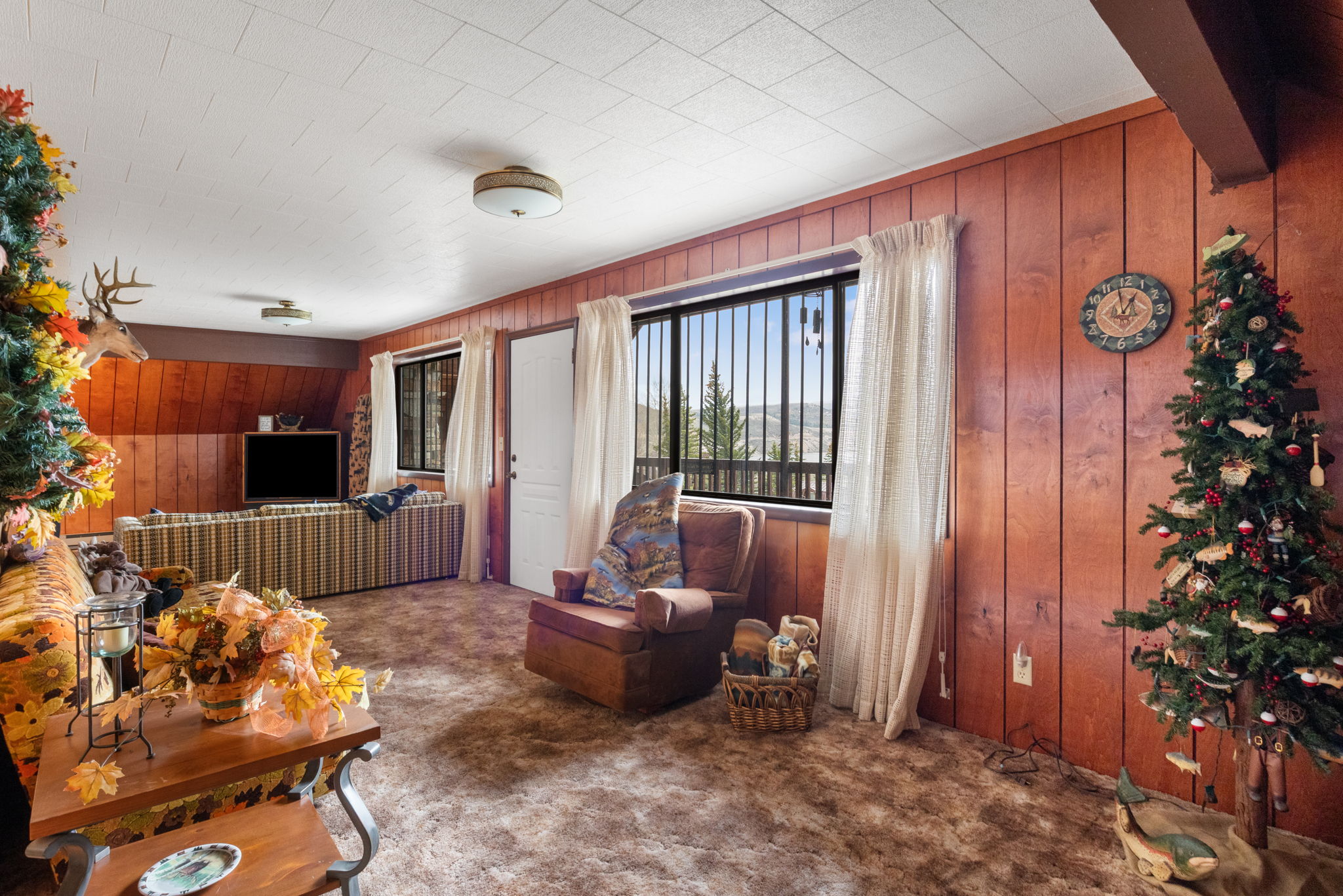 Living area with carpet flooring and wooden walls