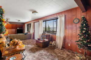 Living area with carpet flooring and wooden walls