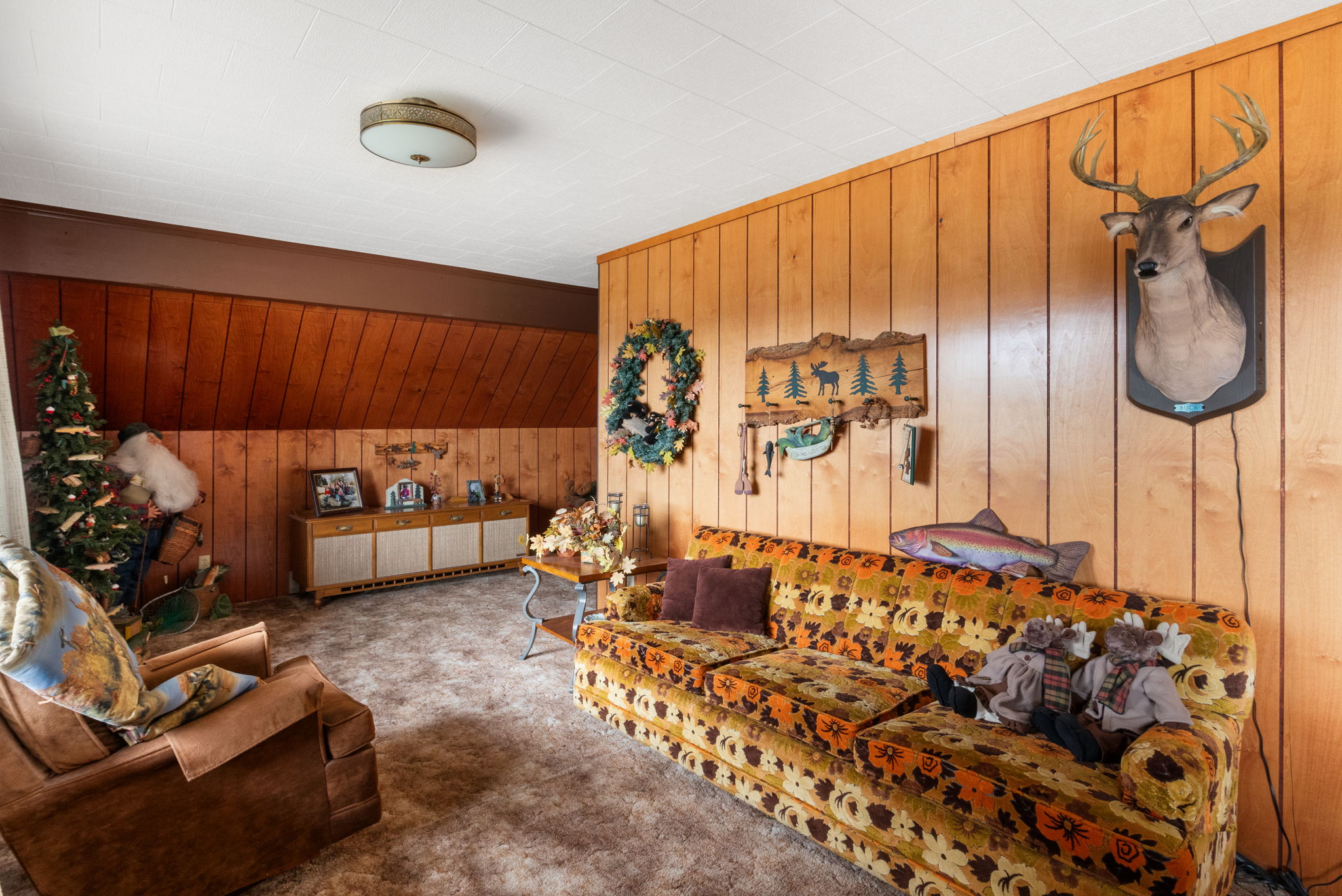 Living area featuring wooden walls and carpet