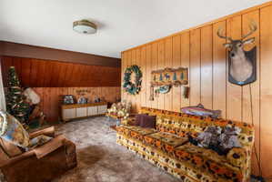 Living area featuring wooden walls and carpet