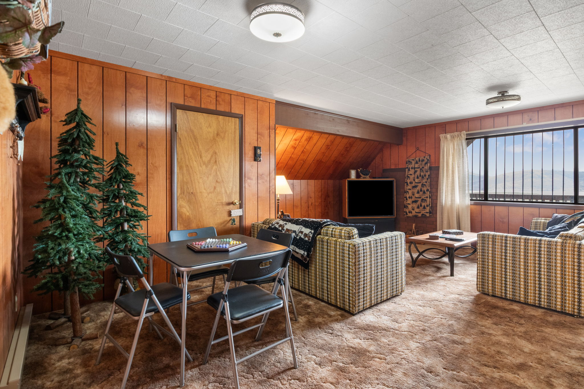 Carpeted living room featuring wooden walls and baseboard heating