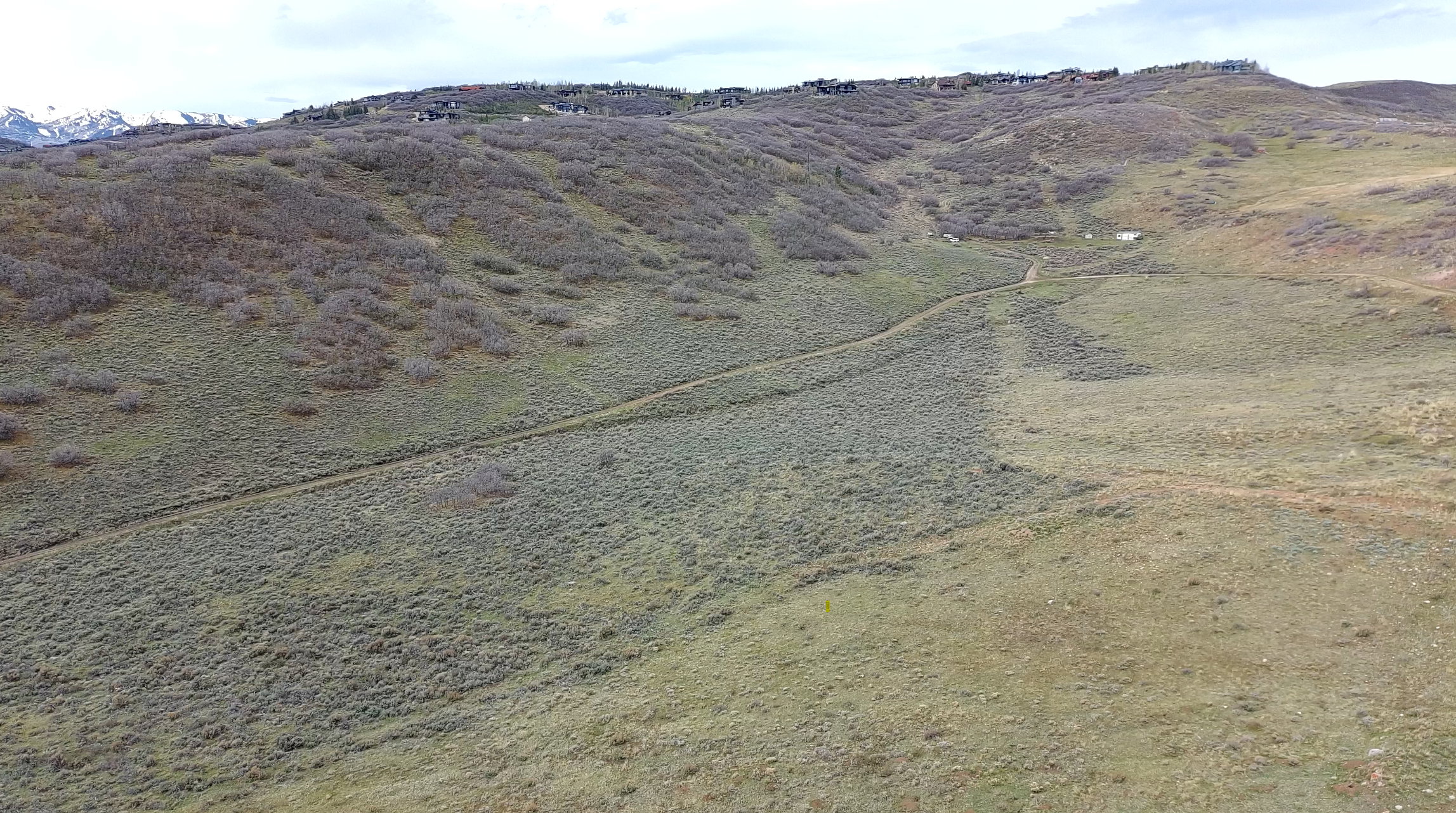 View from the lot