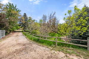 View of dirt / gravel road