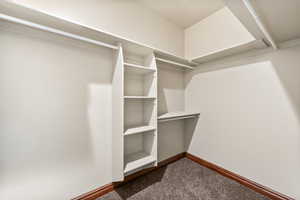 Walk in closet with dark colored carpet