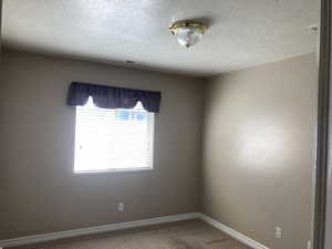 Spare room with light colored carpet and a textured ceiling