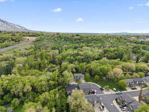 Aerial view of a forest around home and mountains