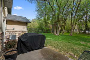 View of yard with a patio area