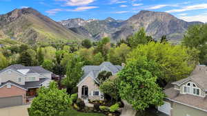 View of mountain background