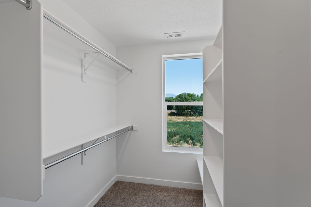 Walk in closet with dark carpet