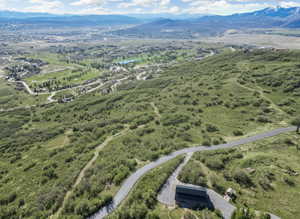 Bird's eye view of a water and mountain view