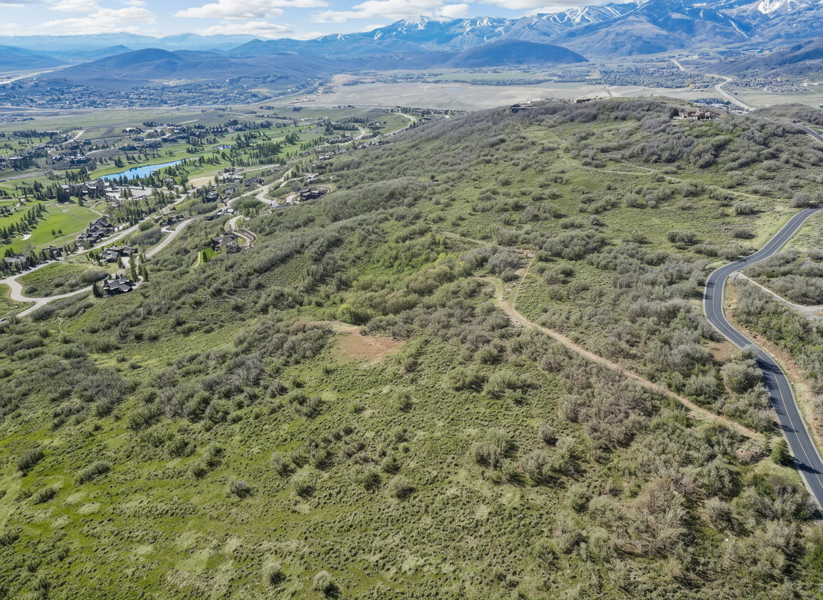 Aerial view of a water and mountain view