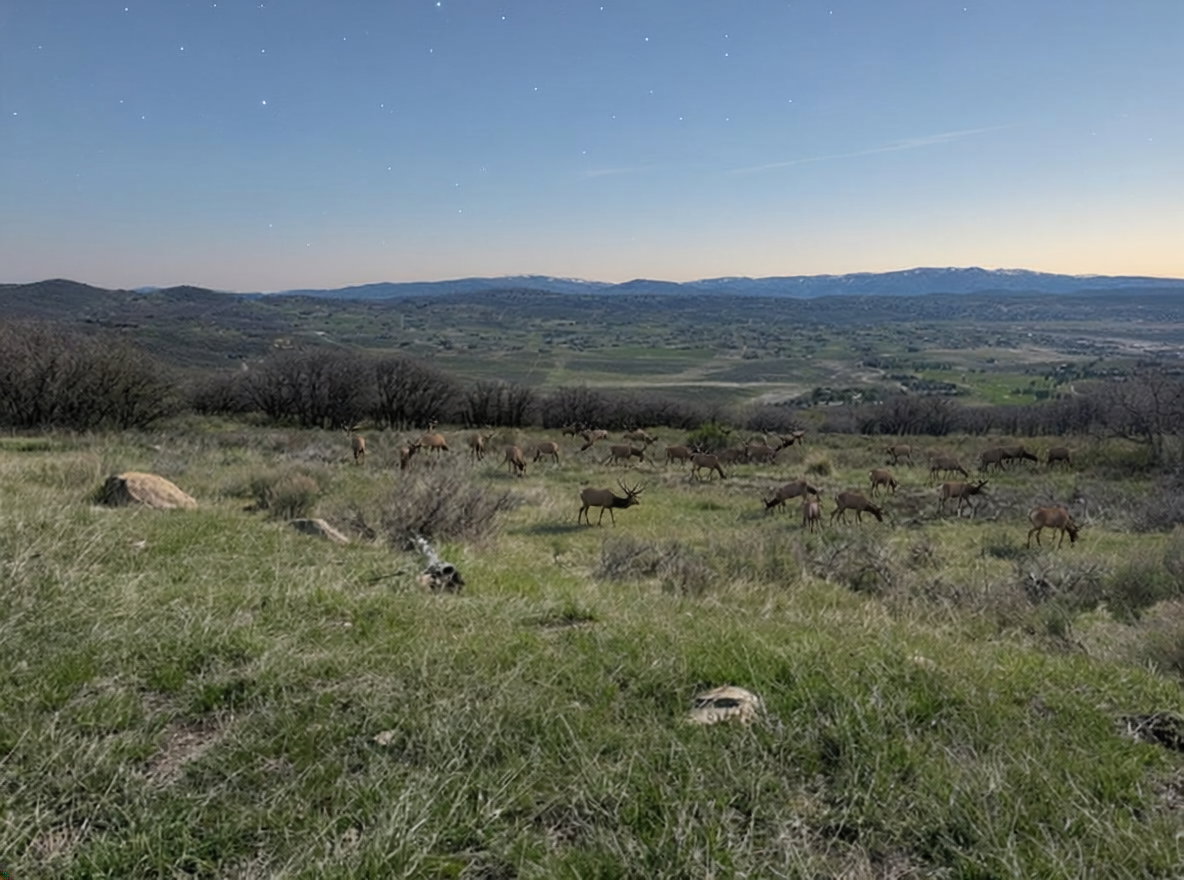 View of mountain background
