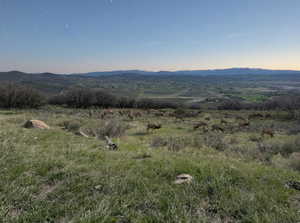 View of mountain background