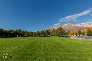 View from park  in back yard with a mountain Ben Lomond peak