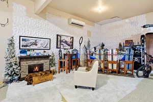 Podcast and ski bar with newer mini-split system to heat and cool the garage