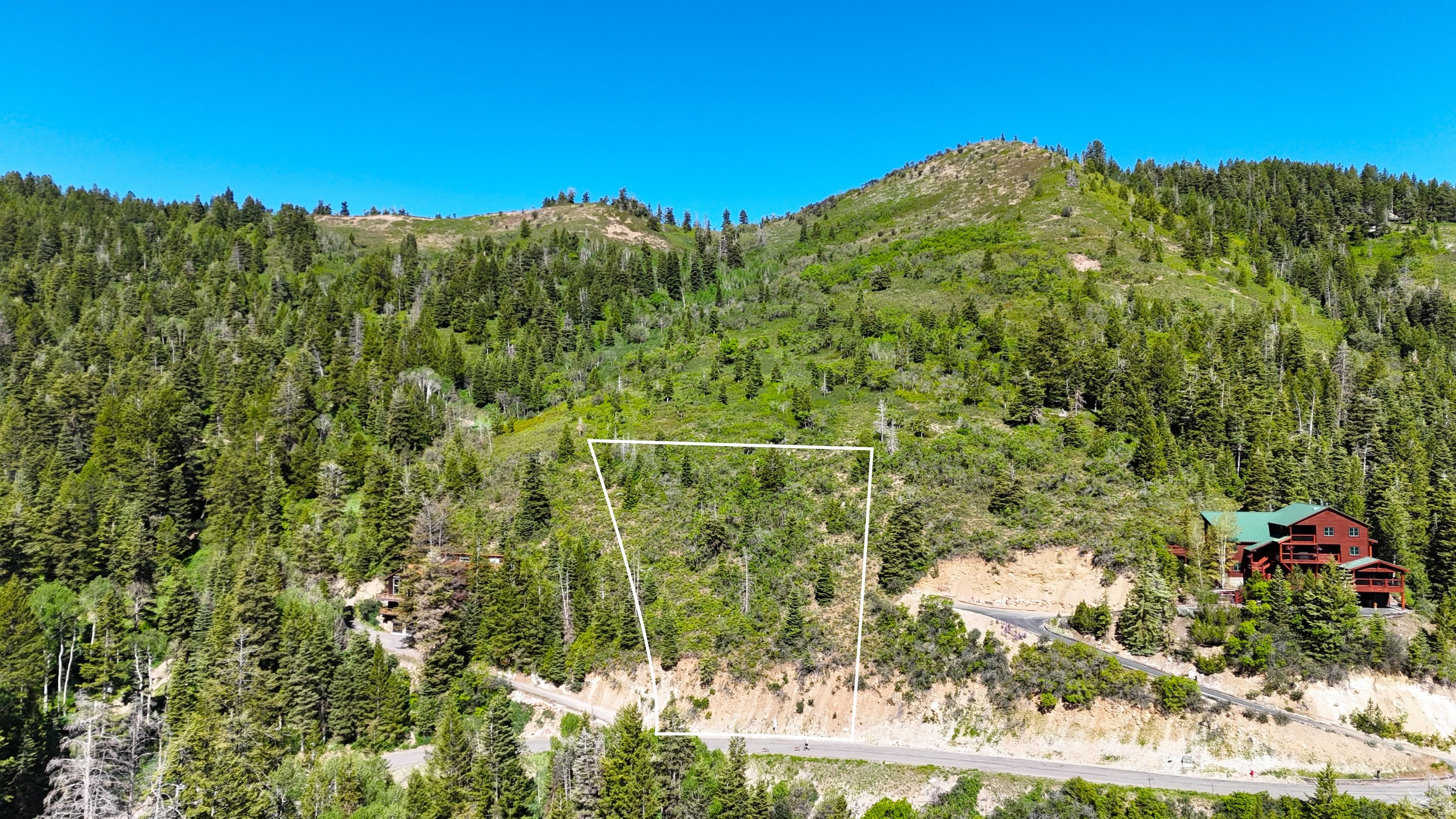 Wooded mountain lot featuring natural foliage, a sloped topography, and a paved road frontage