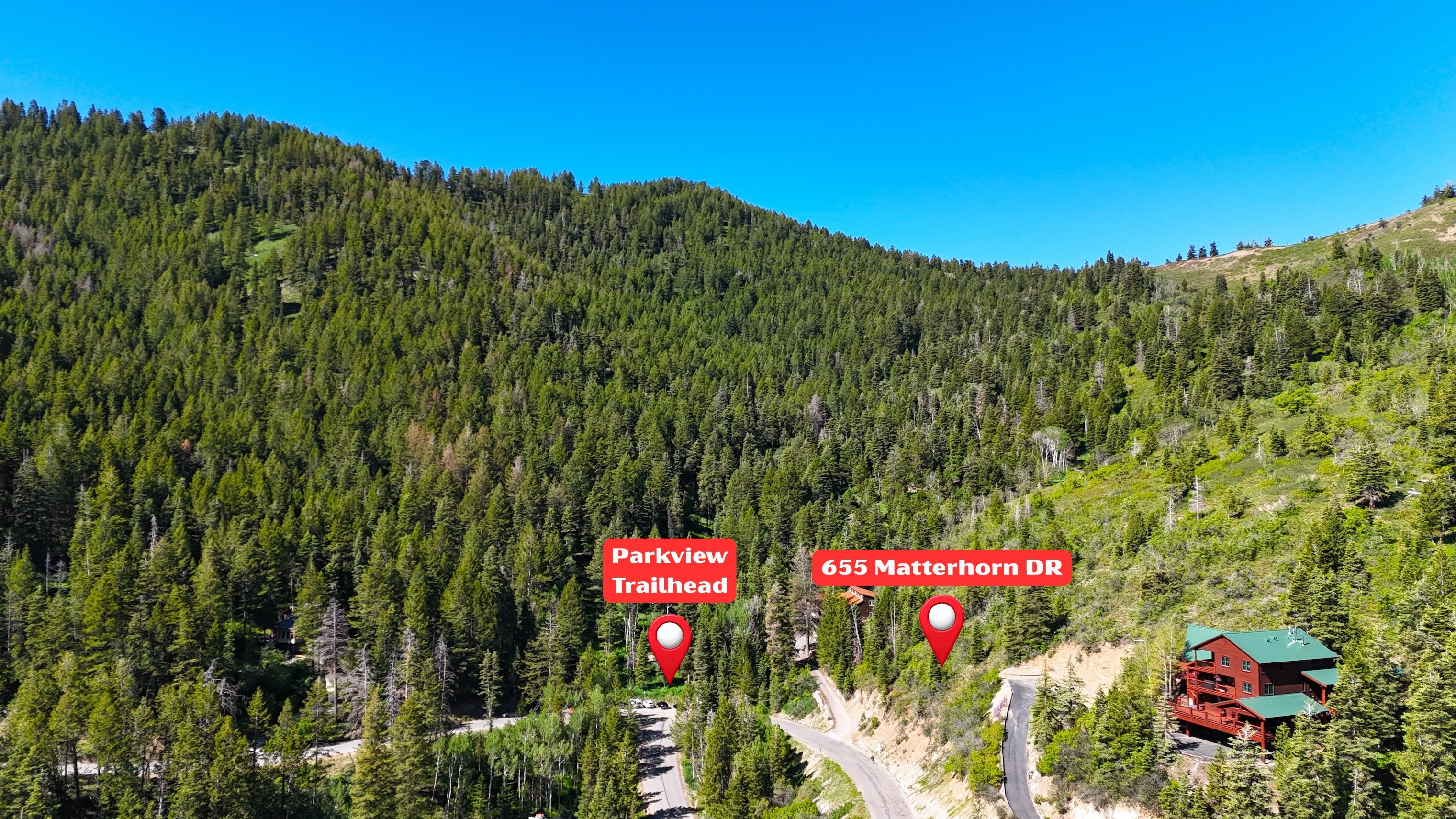 Mountainous terrain featuring extensive evergreen tree coverage and a clear sky