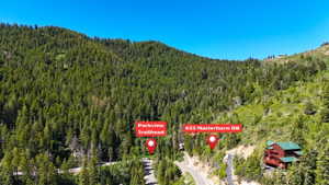 Mountainous terrain featuring extensive evergreen tree coverage and a clear sky