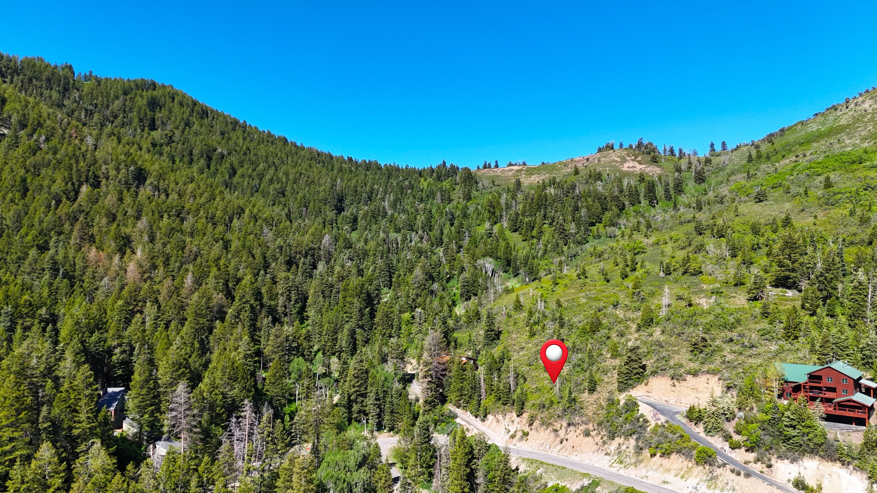 Mountainous terrain with dense evergreen tree coverage