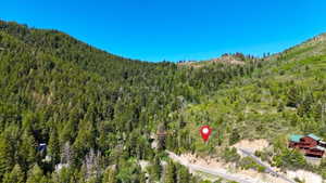 Mountainous terrain with dense evergreen tree coverage