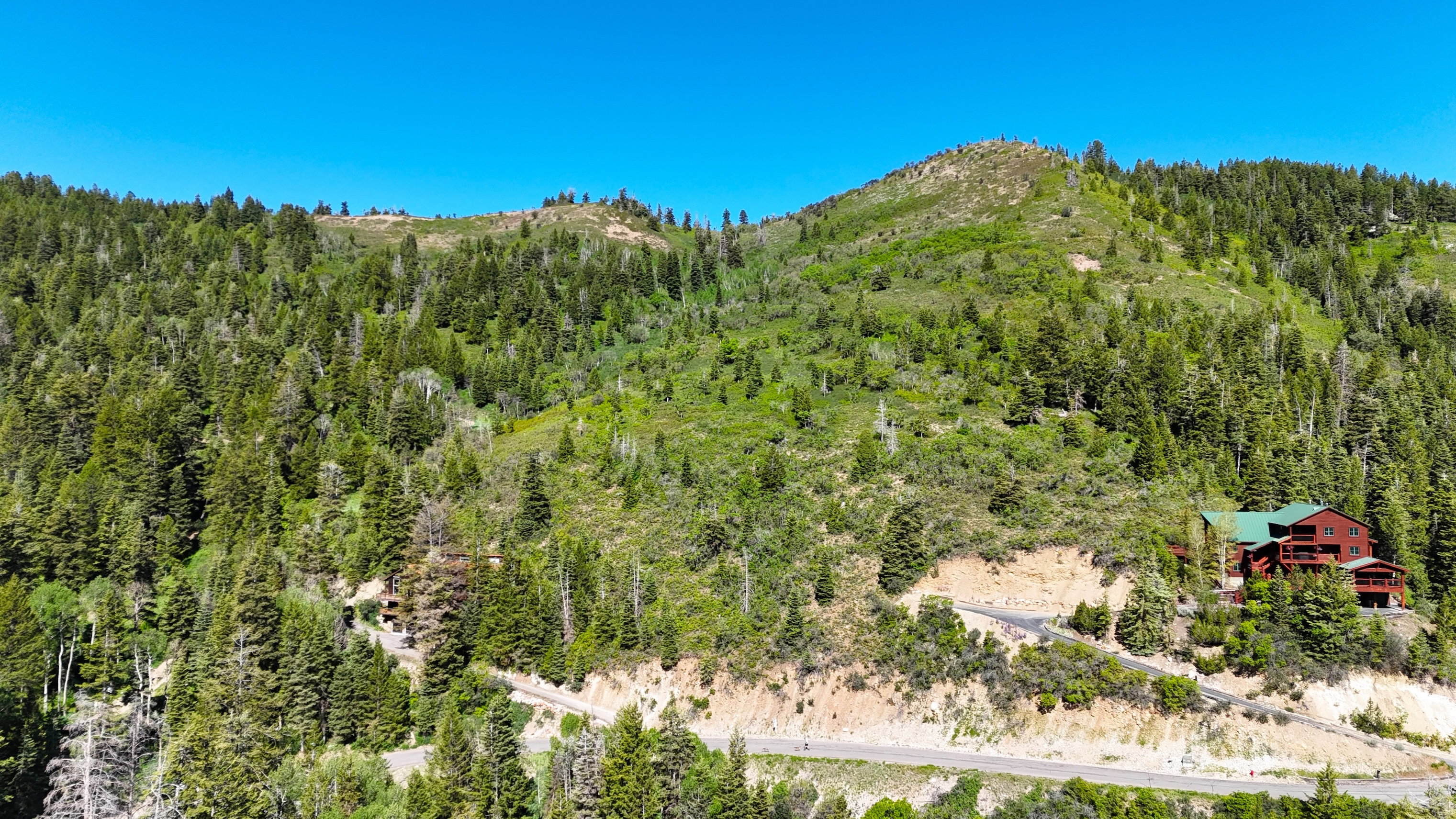Mountain-side residence featuring a wood-sided exterior, a multi-level design, and a green roof