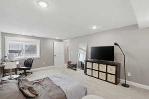 ADU lower level Bedroom with carpet flooring, recessed lighting