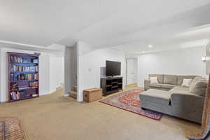 Lower level family room