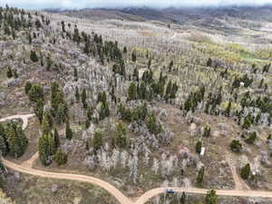 Drone / aerial view of a heavily wooded area